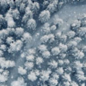 Meet your Posher, Jillian